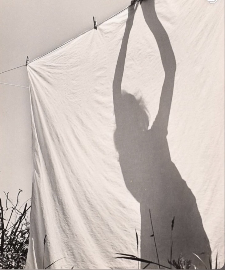 Sunlit sheet on a clothesline — quiet, sensual